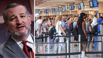 Cruz quizzes DHS on TSA screening of migrants boarding flights: 'This is alarming'
