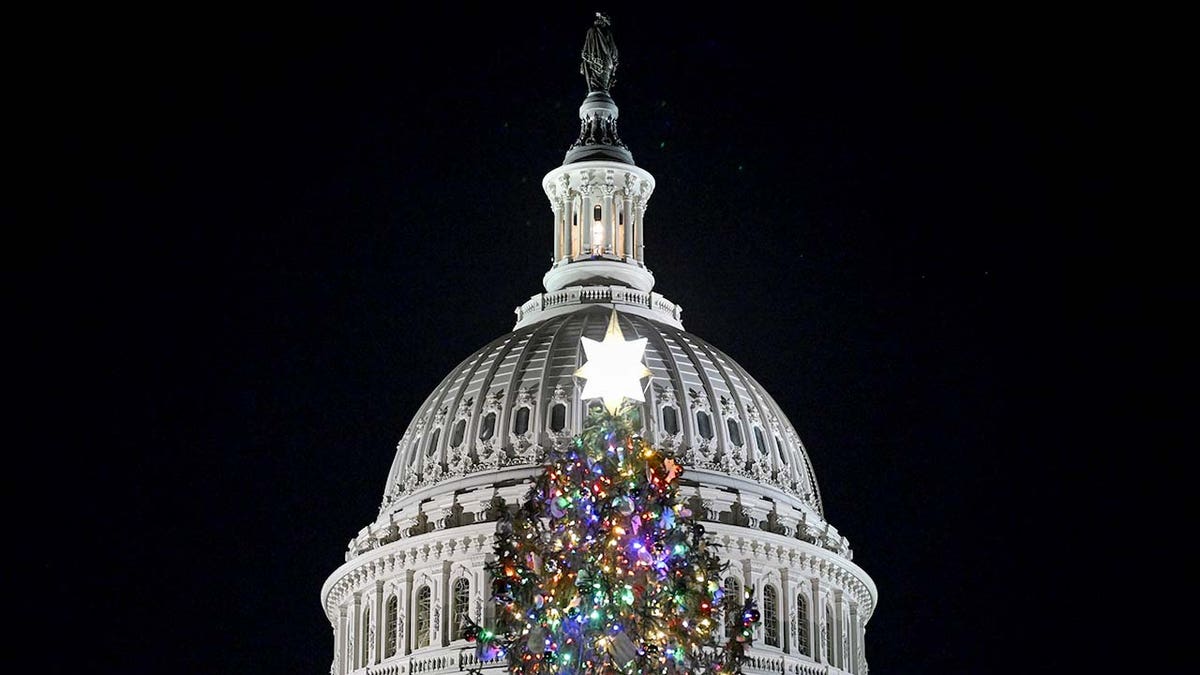 Capitol Christmas tree