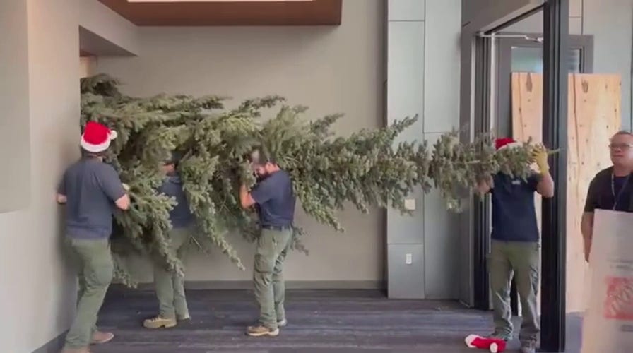 Colorado deputies struggle to bring huge Christmas tree into department lobby