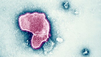 Western Massachusetts reports RSV uptick as child pneumonia outbreak hits Ohio