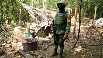 Mexico's army faces criticism as data reveals majority of drug raids target inactive labs